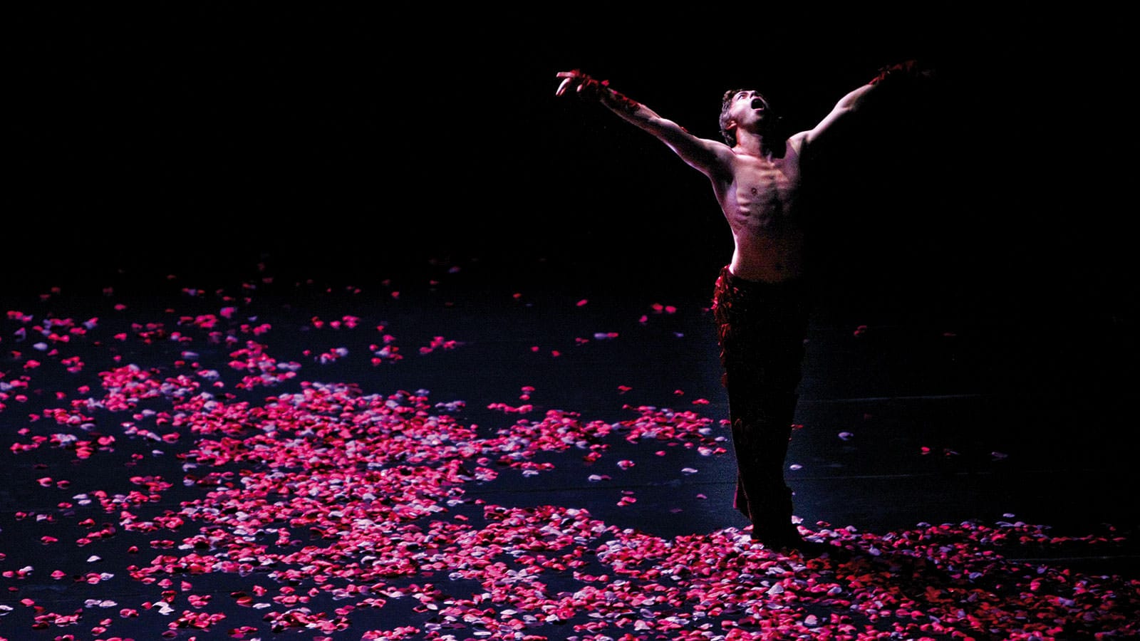 Jeroen Verbruggen sur scène