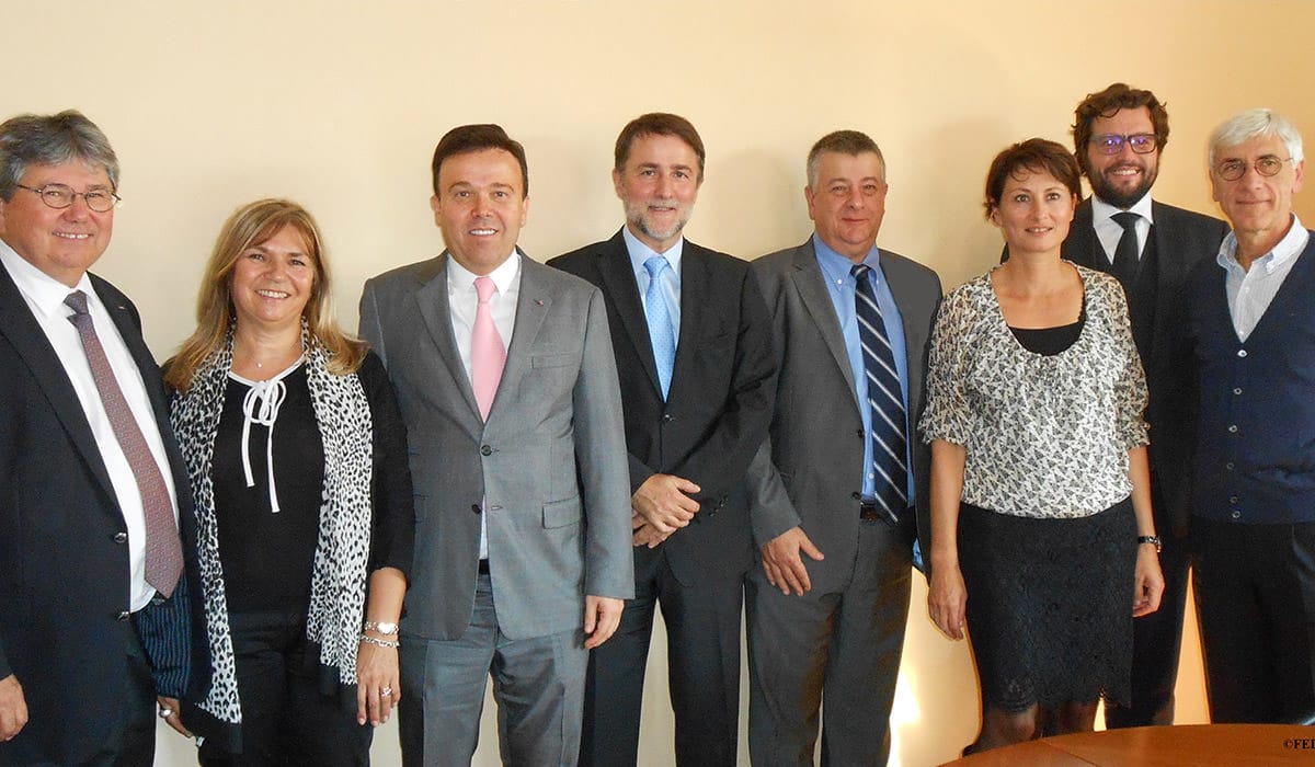 FEDEM Stéphane Valeri