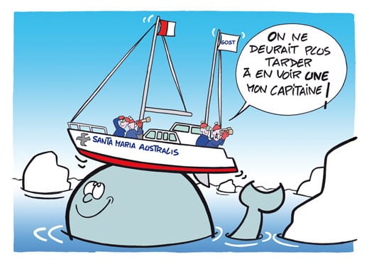 Santa-Maria-Australis-@-Kristian