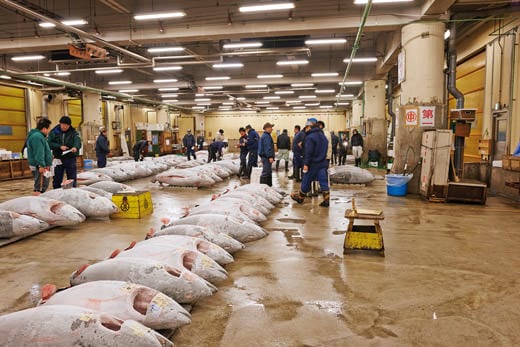 Thon-rouge-Tokyo-marche-Tsukiji
