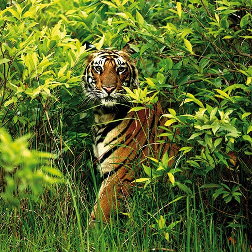 Jean-Charles-Vinaj-Vivre-Ensemble-1