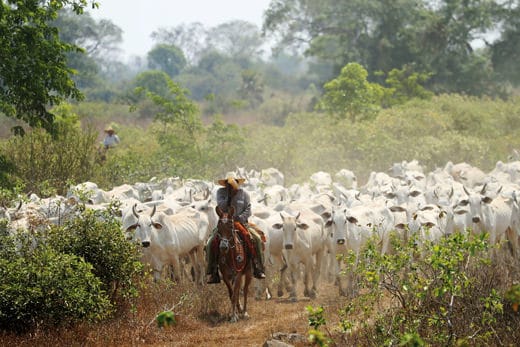 Jean-Charles-Vinaj-Vivre-Ensemble-10