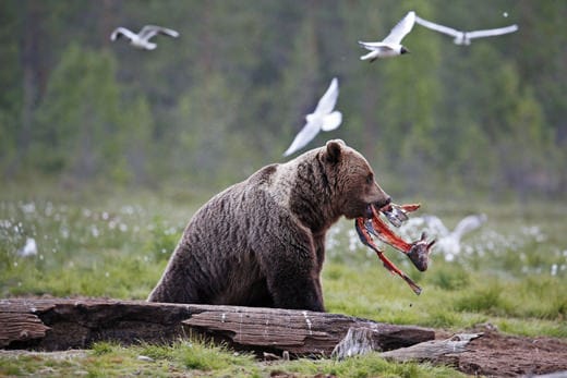 Jean-Charles-Vinaj-Vivre-Ensemble-2