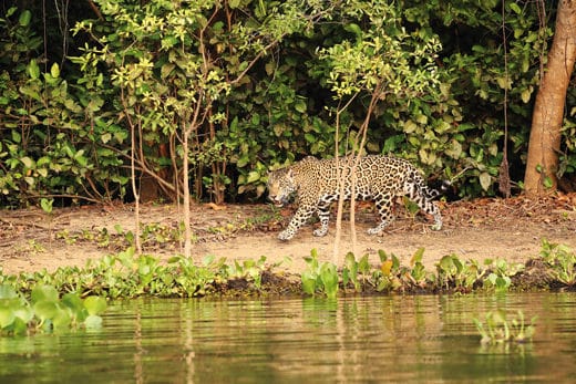 Jean-Charles-Vinaj-Vivre-Ensemble-6