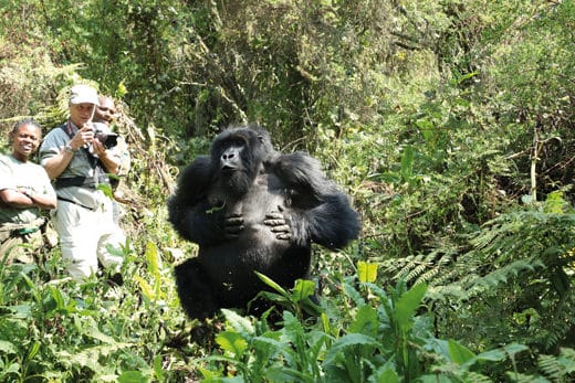 Jean-Charles-Vinaj-Vivre-Ensemble-7