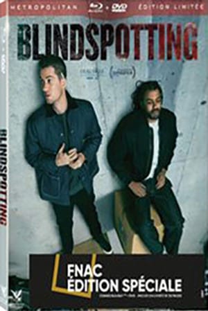 Blindspotting