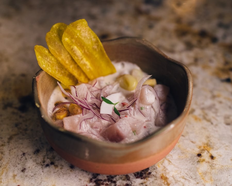 victoria vallinella coya monte-carlo Summer 2021