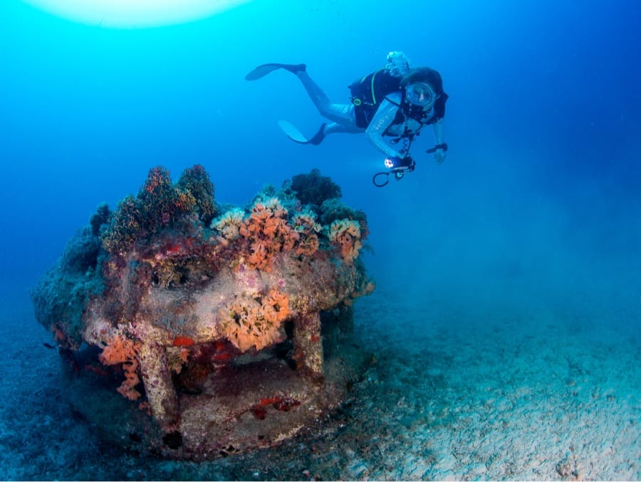 Planète Mer Exposition Olivier Jude Sylvie Laurent