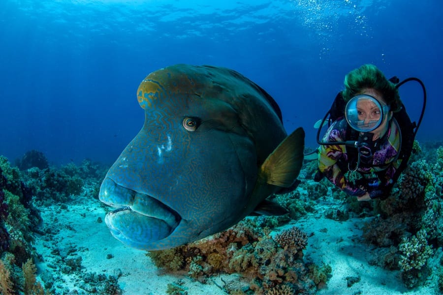 Planète Mer Exposition Olivier Jude Sylvie Laurent