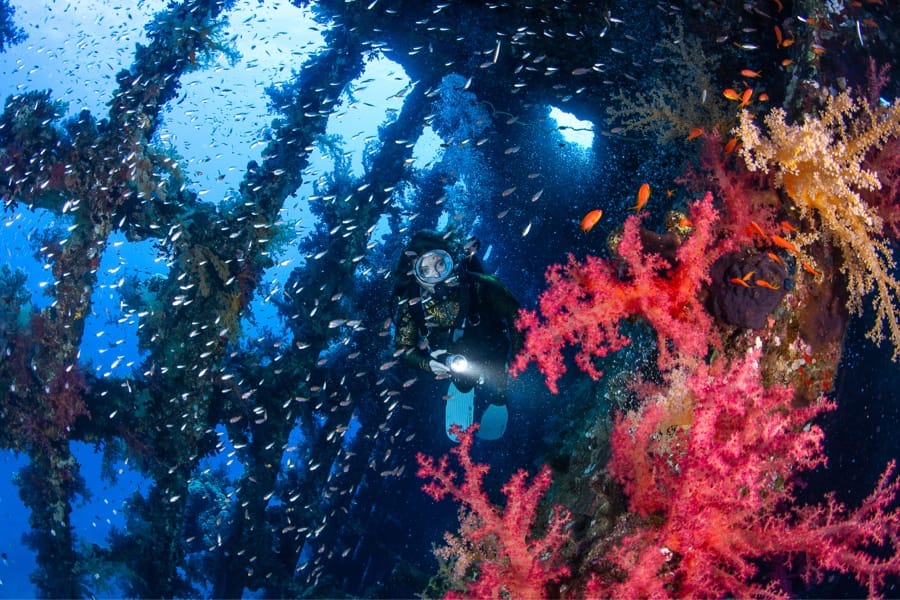 Planète Mer Exposition Olivier Jude Sylvie Laurent