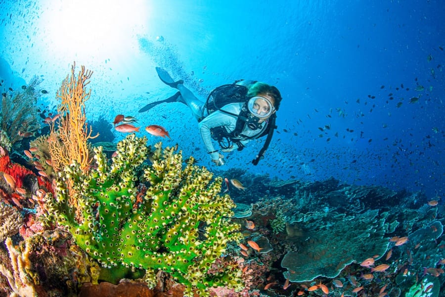 Planète Mer Exposition Olivier Jude Sylvie Laurent