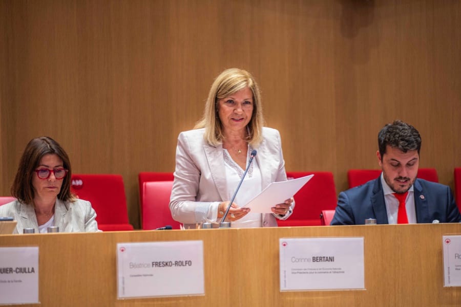 Corinne Bertani Commerce Attractivité Conseil National