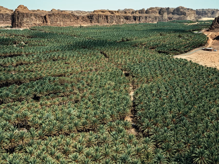 Al-'ula photographie arabie saoudite oasis