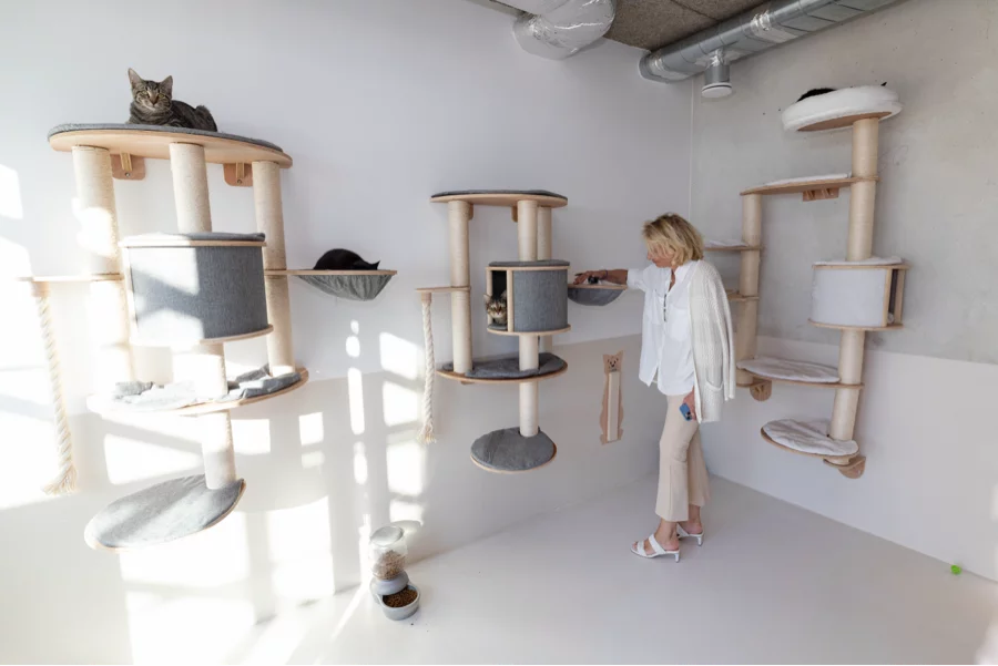 SPA Monaco Animaux Chiens chats NAC Peille