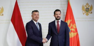 Thomas Brezzo Jakov Milatovic