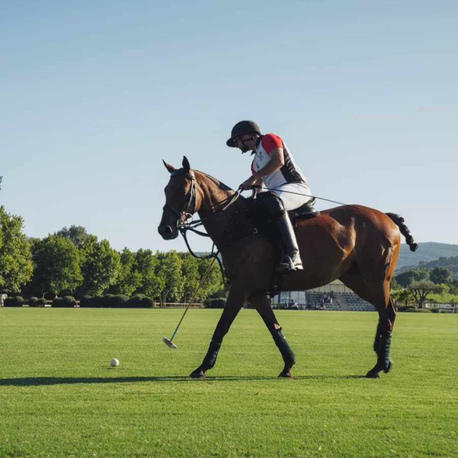 Monte-Carlo Polo Team